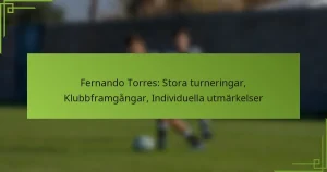 Fernando Torres: Stora turneringar, Klubbframgångar, Individuella utmärkelser