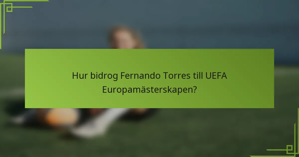 Hur bidrog Fernando Torres till UEFA Europamästerskapen?