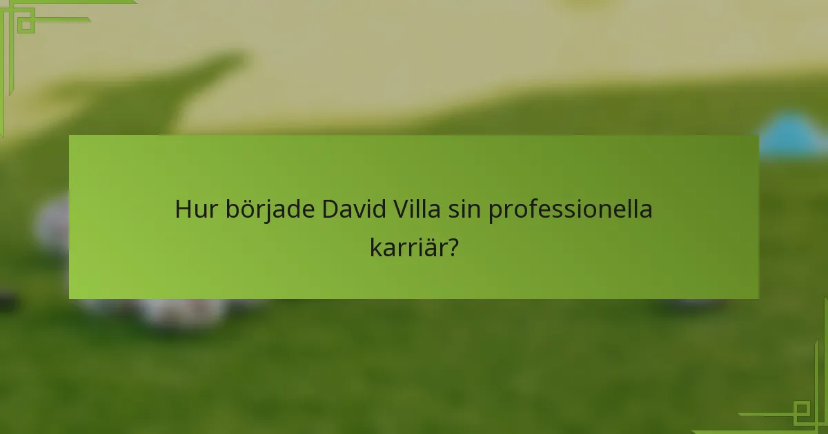 Hur började David Villa sin professionella karriär?