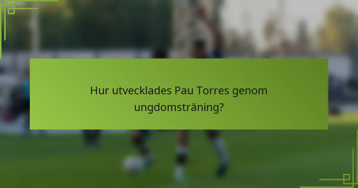 Hur utvecklades Pau Torres genom ungdomsträning?