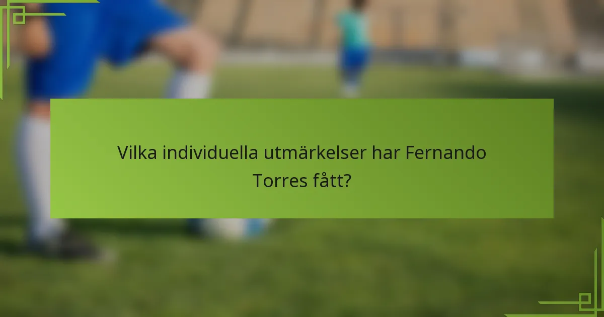 Vilka individuella utmärkelser har Fernando Torres fått?