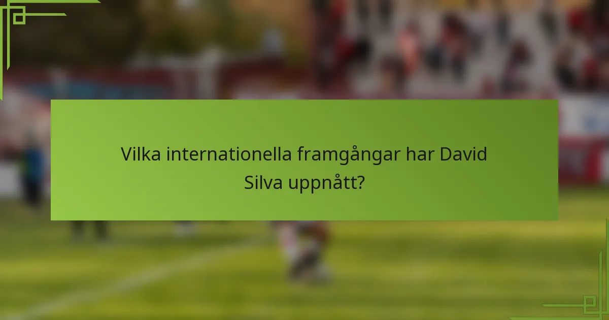 Vilka internationella framgångar har David Silva uppnått?