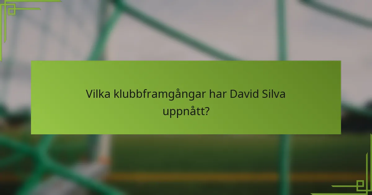 Vilka klubbframgångar har David Silva uppnått?
