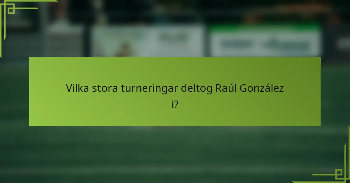 Vilka stora turneringar deltog Raúl González i?